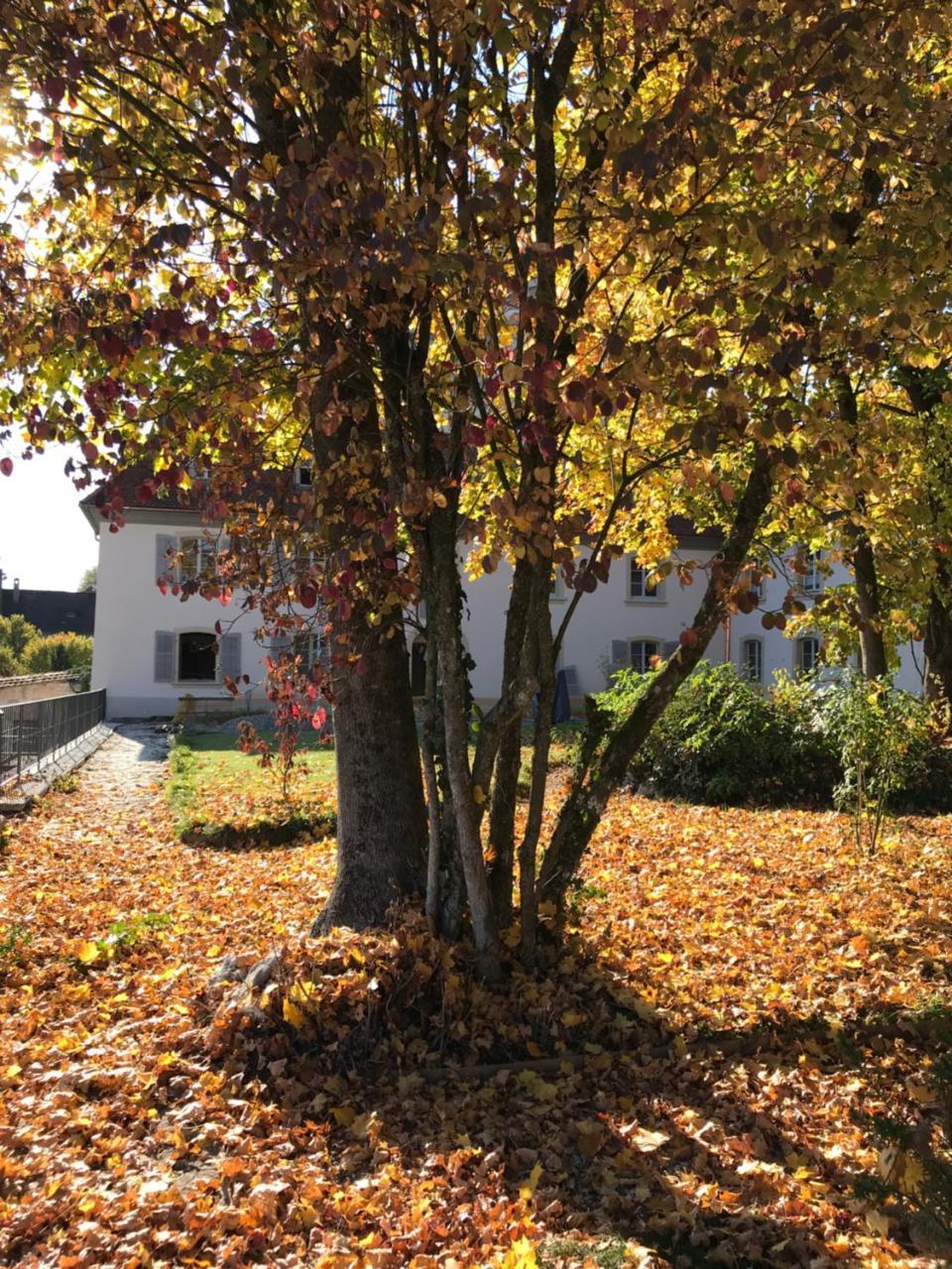 Manoir De La Cote-Dieu Porrentruy Exterior photo